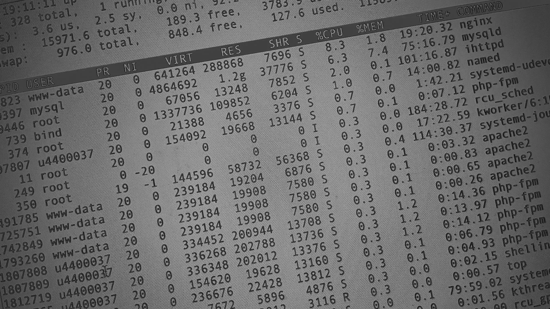 Настройка сервера в Волхове