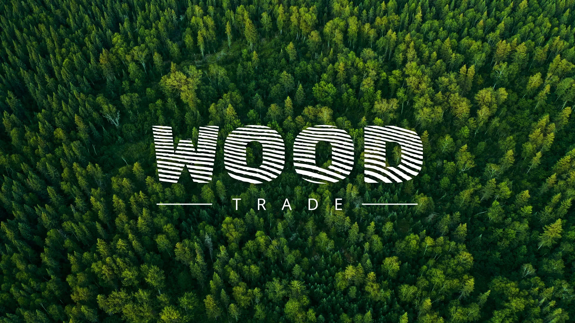 Разработка интернет-магазина компании «Wood Trade» в Волхове